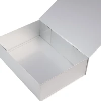 Glans gelamineerde magneetdozen Zilver - 35x25x10cm - 25 stuks