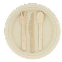 CombiSet Middel (3 x 200 bestek/200 borden)