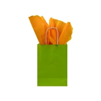 Papieren tas gedraaid handvat - Groen - 19x8x22cm - 250 st/ds.