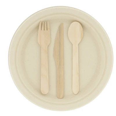 CombiSet Middel (3 x 200 bestek/200 borden)